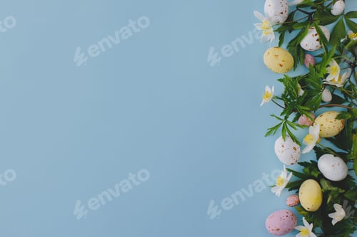 Preview: Colorful Easter chocolate eggs and spring flowers border on blue background, flat lay