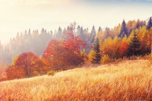 Preview: rock massif in the Carpathians. Retro style filter. Instagram to