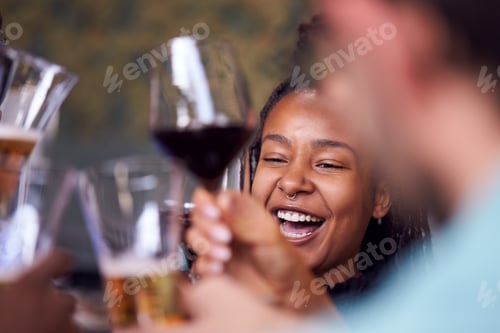 Preview: Group Of Friends Meeting In Restaurant Celebrating And Making A Toast