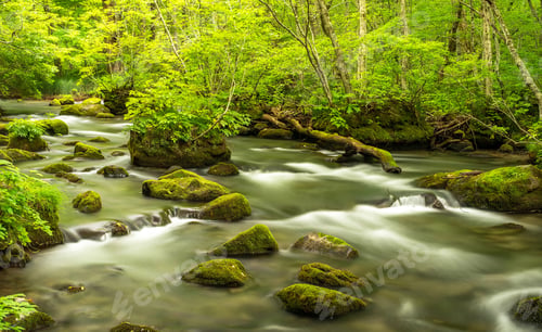 Preview: A Beautiful and Magical Japan pictures
