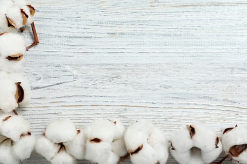 Preview: Flat lay composition with cotton flowers on white wooden background. Space for text
