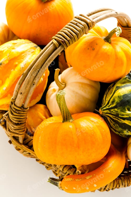 Preview: Mini pumpkins