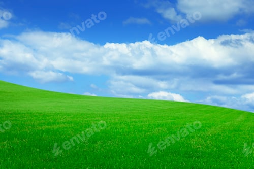 Preview: Lush green grass under bright blue sky with fluffy clouds