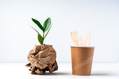Preview: Green leaves and recycled paper cup and cutlery