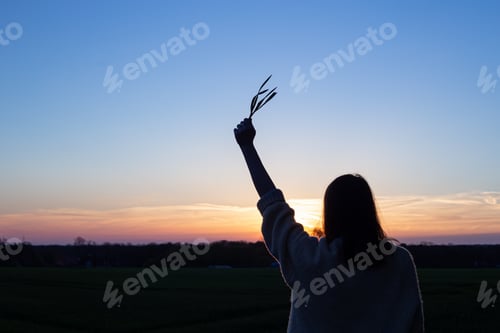 Preview: Silhouette of a woman at sunset in a field against the sky, rear view.