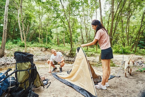 Preview: Happy young couple making camp in forest