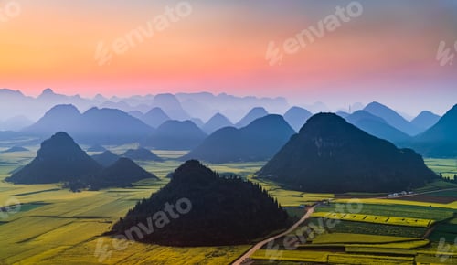 Preview: Yellow rapeseed (canola) flower field in spring, Luoping, China
