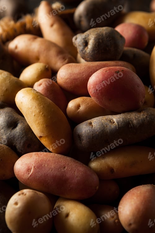 Preview: Raw Organic Fingerling Potatoes