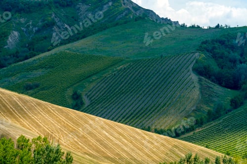 Preview: Rural landscape on the hills near Riolo Terme and Brisighella