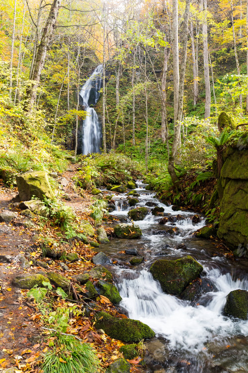 Preview: Waterfall in Oirase Mountain Stream