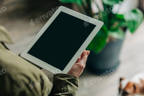 Preview: Woman in green shirt holds tablet in hand on palm leaves