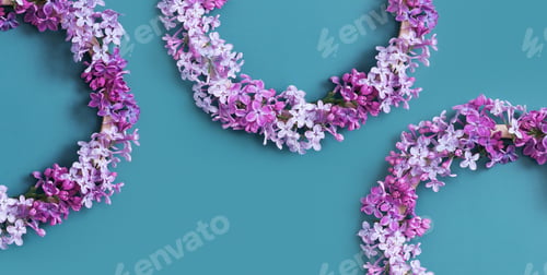 Preview: Banner with Lilac flowers wreath with copy space. Summer, spring floral composition