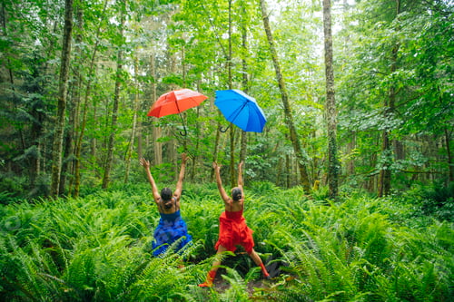 Preview: Two children holding colorful umbrellas leap joyfully among lush ferns in a vibrant green forest.