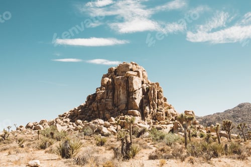 Preview: Sunkissed rocky outcrop amidst desert flora