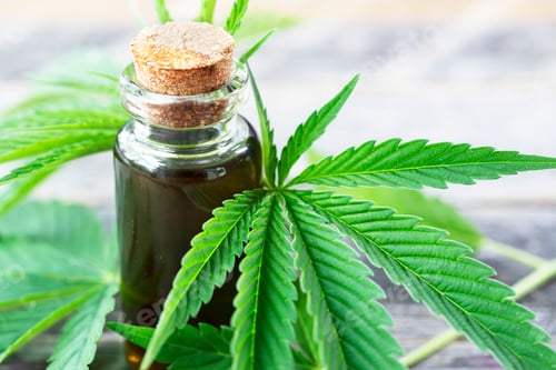 Preview: Cannabis Oil