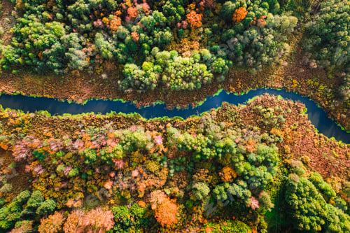 Preview: Top view of small river and colorful swamps