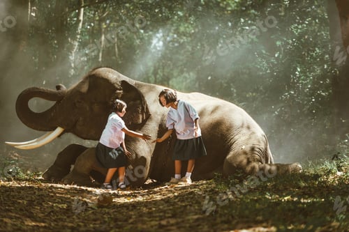 Aperçu: Elephant and school boy in Thailand