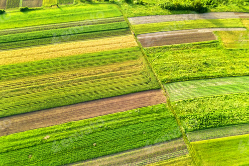Preview: Aerial view of green agricultural fields in spring with fresh vegetation after seeding season