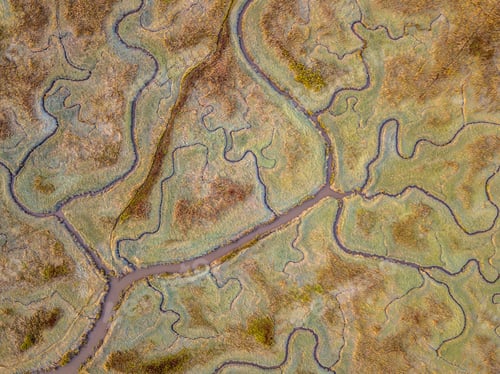 Preview: Aerial view of tidal marshland