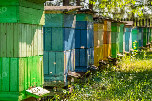 Preview: Handmade beehives in garden. Ecological and natural beekeeping.