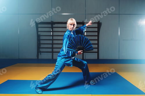 Preview: Female wushu master exercise with fan, martial art