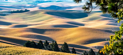 Preview: landscape scenes in palouse washington