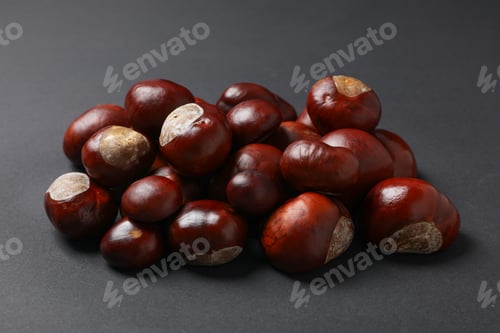 Preview: Brown chestnut fruits on a dark background