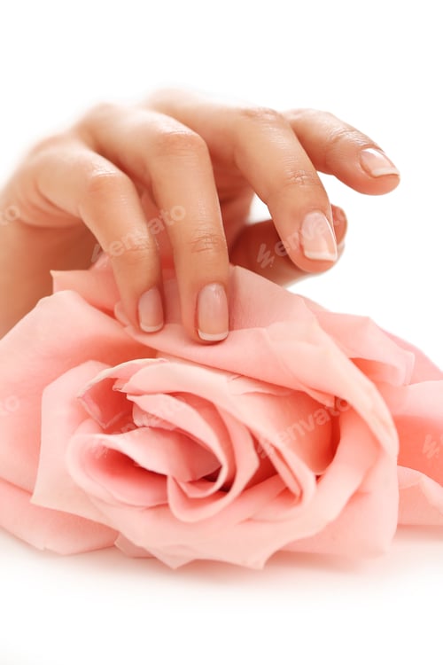 Preview: Elegant Hand Touching a Pale Pink Rose