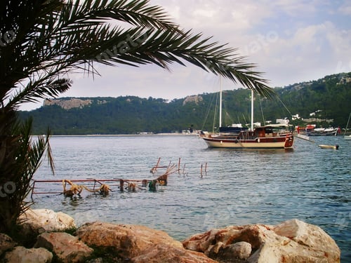 Preview: Ships at the seaside surrounded by tropical palm trees