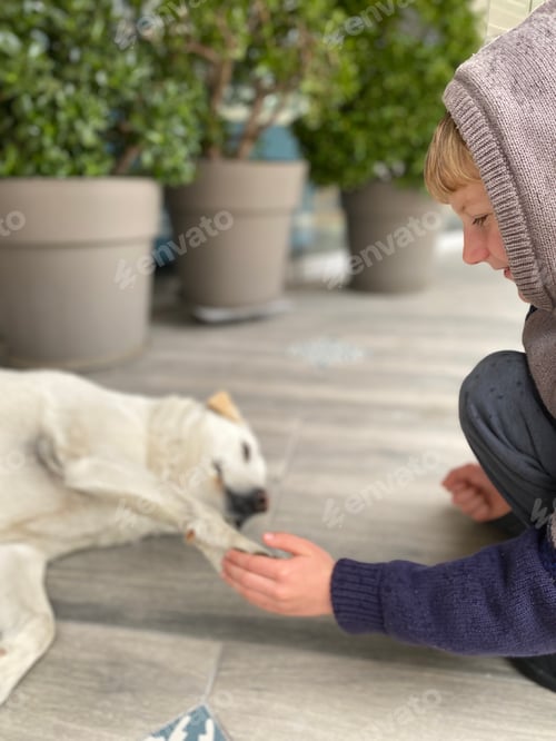 Preview: Boy playing with bid white street dog