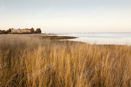 Preview: Coastline, beach and view along the shore