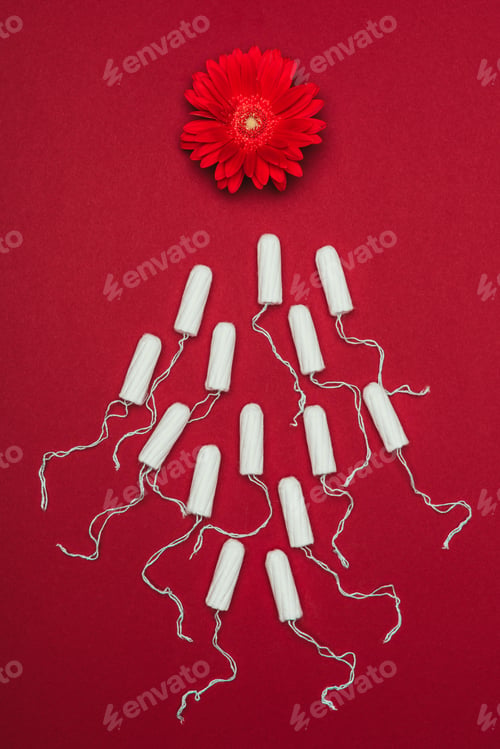 Preview: top view of arranged menstrual tampons and flower isolated on red