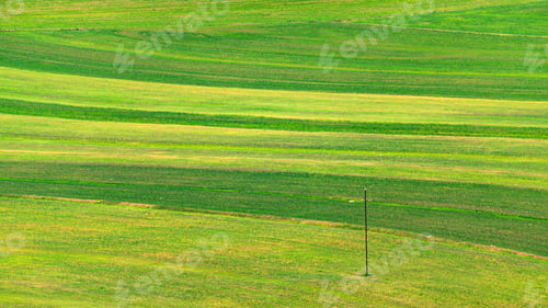 Preview: Landscape with green plowed farm fields