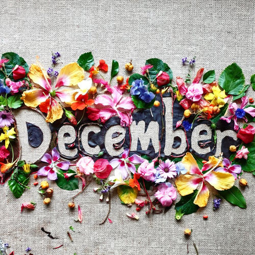 Preview: December,creative words made with flowers