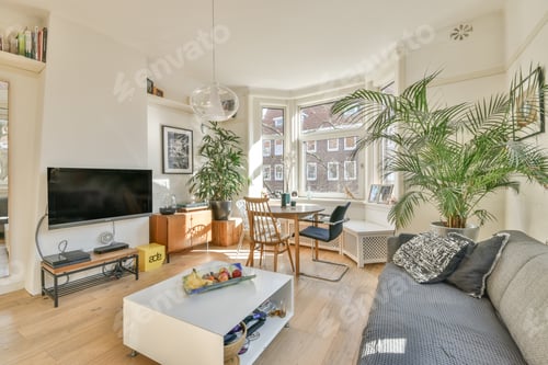 Preview: Cozy Modern Living Room Interior With Plants