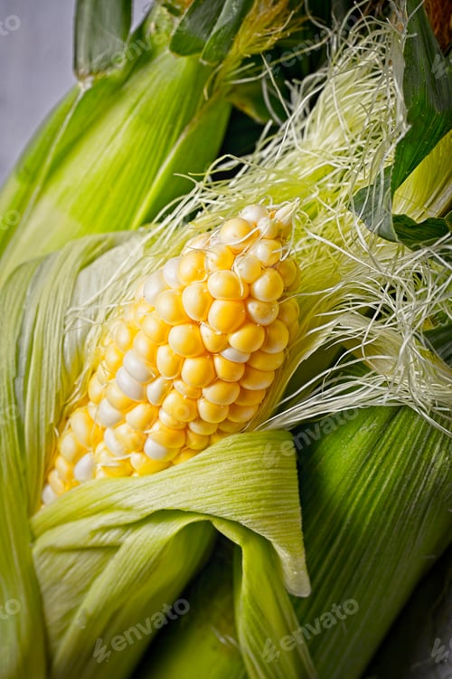 Preview: Fresh ear of corn and the silk.