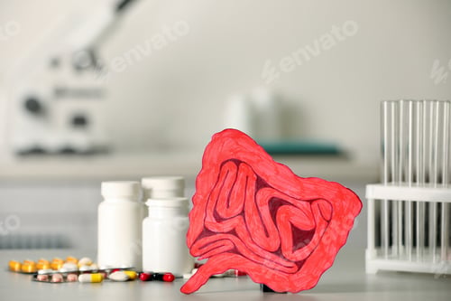 Preview: Paper intestine cutout near different pills on table in clinic