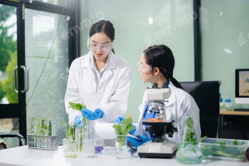 Preview: Asian scientist examines food under microscope in modern lab. Food safety, nutrition,