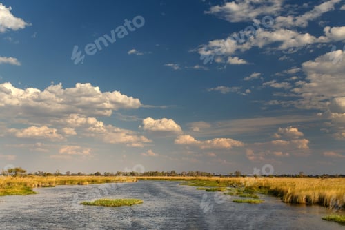 Preview: Okavango Delta, Africa