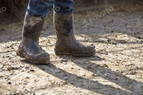 Preview: Legs of boy in muddy rubber boots in dairy farm yard