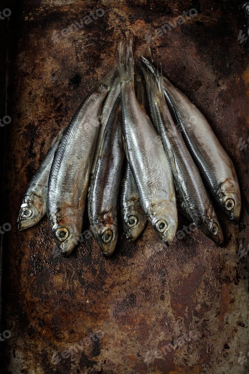 Preview: Fresh Salted Fish Sprats