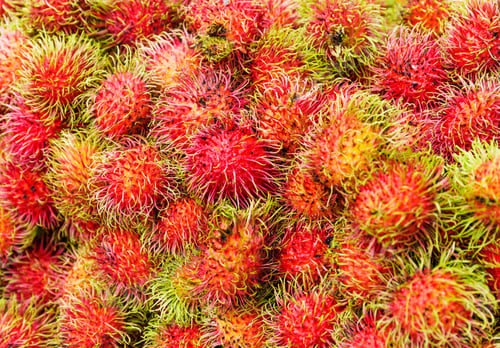 Preview: Red rambutan background