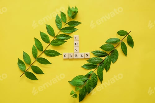 Preview: Green leaves on yellow background