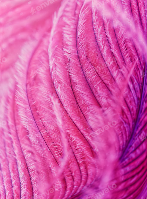 Preview: Beautiful Abstract Background with Purple Feather