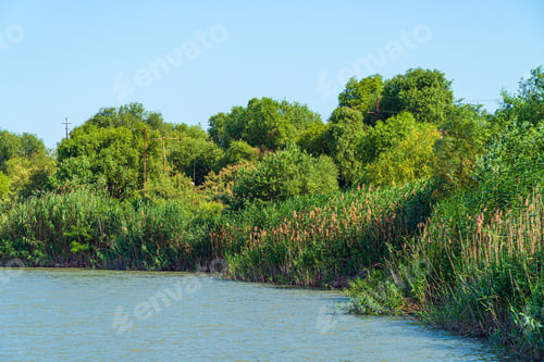 Preview: Coast of a wide flat river