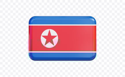 Preview: North Korea Flag Banner