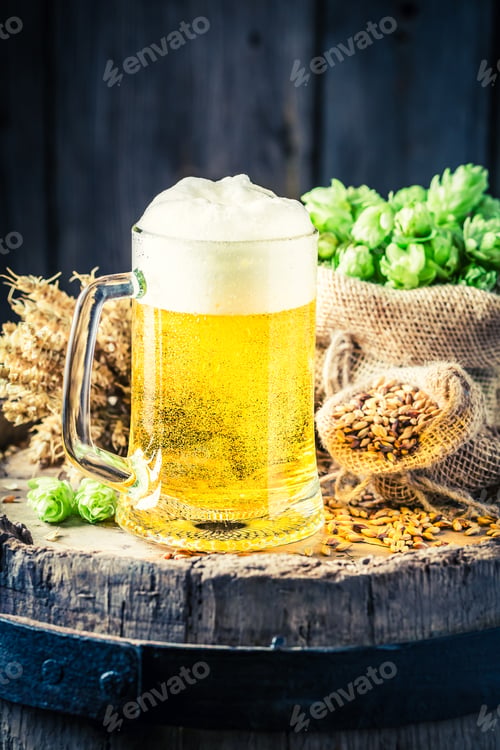 Preview: Cold light beer with foam, wheat and hops