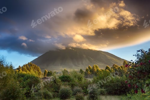 Preview: Sabyinyo Mountain, Virunga National Park, Rwanda