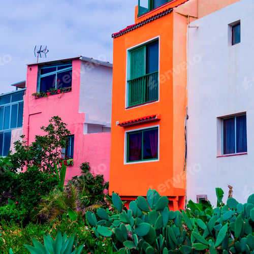 Preview: Canary island. Cactus garden. Minimal tropical mood