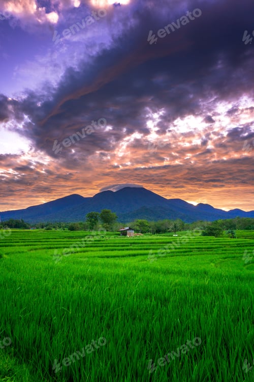 Preview: beautiful morning view from Indonesia of mountains and tropical forest